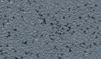 Grabo嘉寶金剛砂20JSK1260 Grabo嘉寶金剛砂20JSK1260