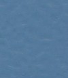 得嘉PVC運動地板 Blue